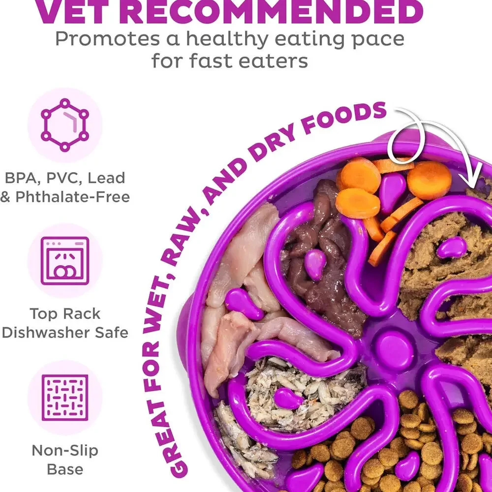 Large Slow Feeder Bowl, Puzzle Maze for Fast Eaters, Medium to Large Dogs,